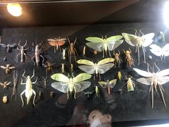 -燕莎友谊商城(亮马桥店)