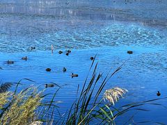 -野鸭湖国家湿地公园