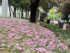 -西安曲江寒窑遗址公园