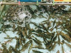 -渔民新村(番禺总店)