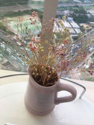 -久匠半永久纹眉