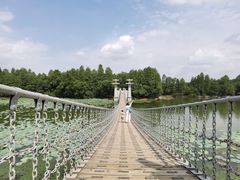 -东湖落雁景区