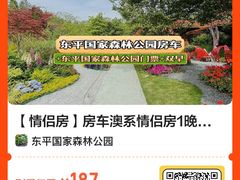 -东平国家森林公园