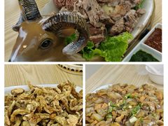 -塞罕坝国家级自然保护区