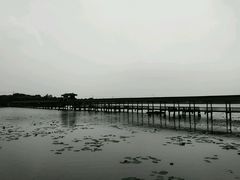 -金龟岛渔村