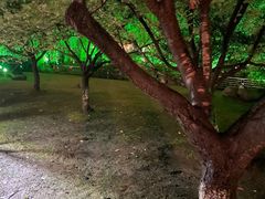 -苏州河梦清园环保主题公园