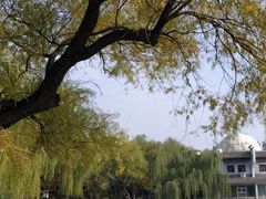 -文瀛公园