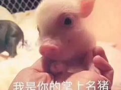 -徐小包的奶茶(柯桥鉴湖路店)