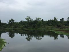 -桤木河湿地公园