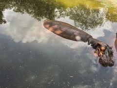 -海南热带野生动植物园