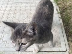 -杭州花家山庄