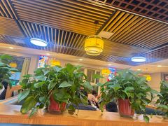 -豫姥家黄河滩地锅城(白沙店)