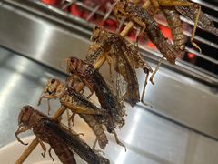 -小寒羊烧烤(凯瑞时代大厦店)