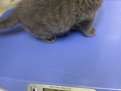 -芭比堂动物医院广州顽皮分院
