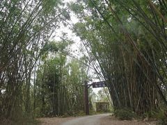 -海南热带野生动植物园