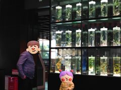 -广东中医药博物馆