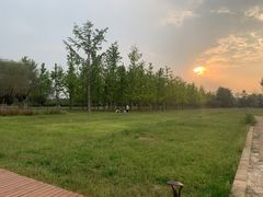 -汉长安城未央宫国家考古遗址公园