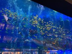 -成都浩海立方海洋公园