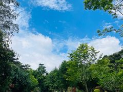 -广州市流溪河国家森林公园