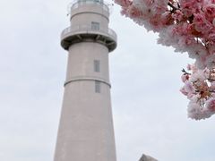 -悦海公园