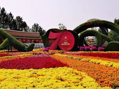 -大兴滨河森林公园