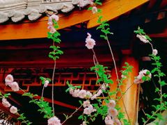 -中国中医科学院望京医院(院本部)