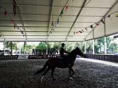 -太阳岛度假酒店