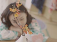 -柴犬小屋·柴餐厅·狗咖食堂(金鼎广场店)