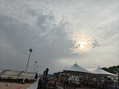 -碧海金沙