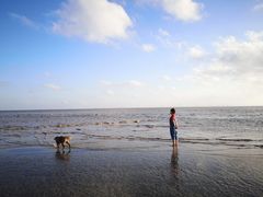 -南汇嘴观海公园