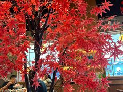 -白石的深夜食堂(济南万象城店)