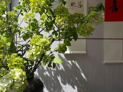 -苏州本色美术馆