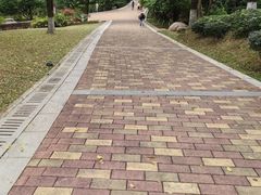 -玉树公园