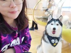 -Husky Go! 哈士奇体验馆·宠物咖啡厅狗咖