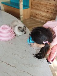 -萌宠亲子动物乐园(槐房万达店)