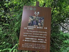 -王顺山国家森林公园