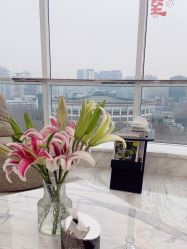 -小梨专业脱毛连锁机构