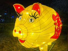-锦江乐园舞狸花花游园会(夜场专享)
