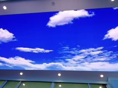 -戴尔(通州淘宝城店)