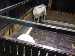 -上海大自然野生昆虫馆