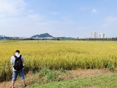 -光明小镇欢乐田园