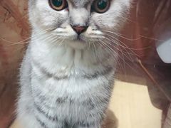 -拾壹cafe·工作室