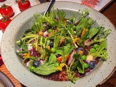 盆栽沙拉-映水芙蓉(上海万象城店)