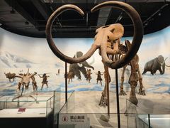 -辽宁古生物博物馆