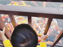 -大门水乡·顺德菜