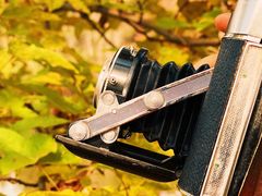 -仙海旅游度假区