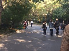 -吴淞炮台湾湿地森林公园烧烤区