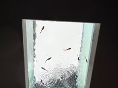 -寂照庵