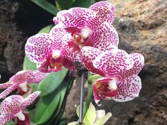 -南通洲际绿博园