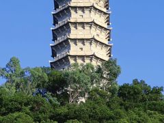 -深圳国际园林花卉博览园